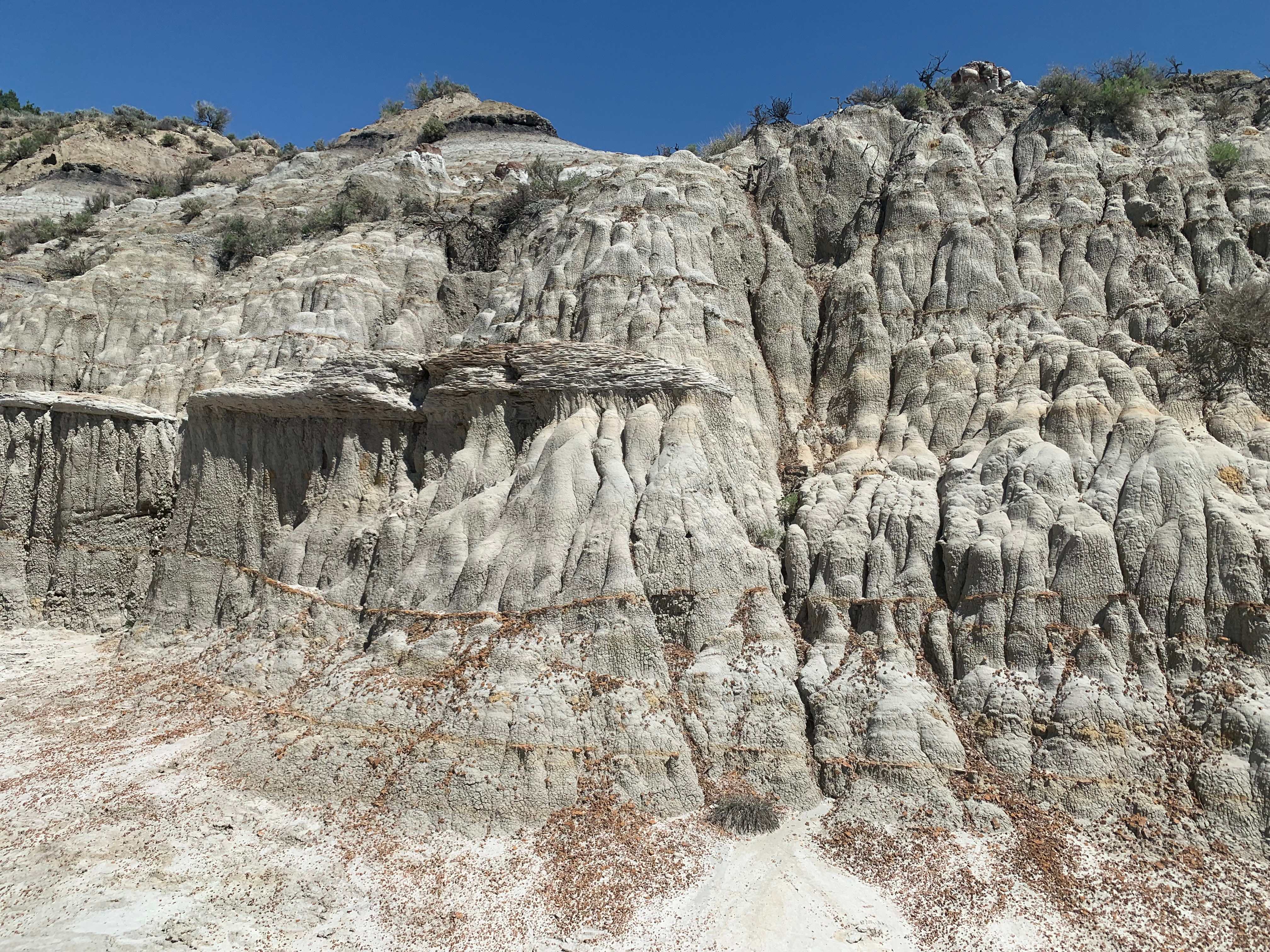Theodore Roosevelt NP